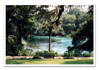 Rainbow Springs Real Estate, Rainbow Springs Waterfront Real Estate, Rainbow Springs Real Estate for sale, Rainbow River Real Estate, Dunnellon Waterfront Real Estate, Dunnellon waterfront property, rentals, lots, acreage
